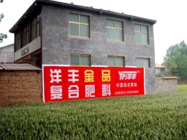 彝良县如何让墙体广告展现最大化效果