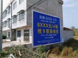 彝良县墙体广告质量分析