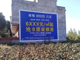 彝良县品牌公司青睐的墙体广告